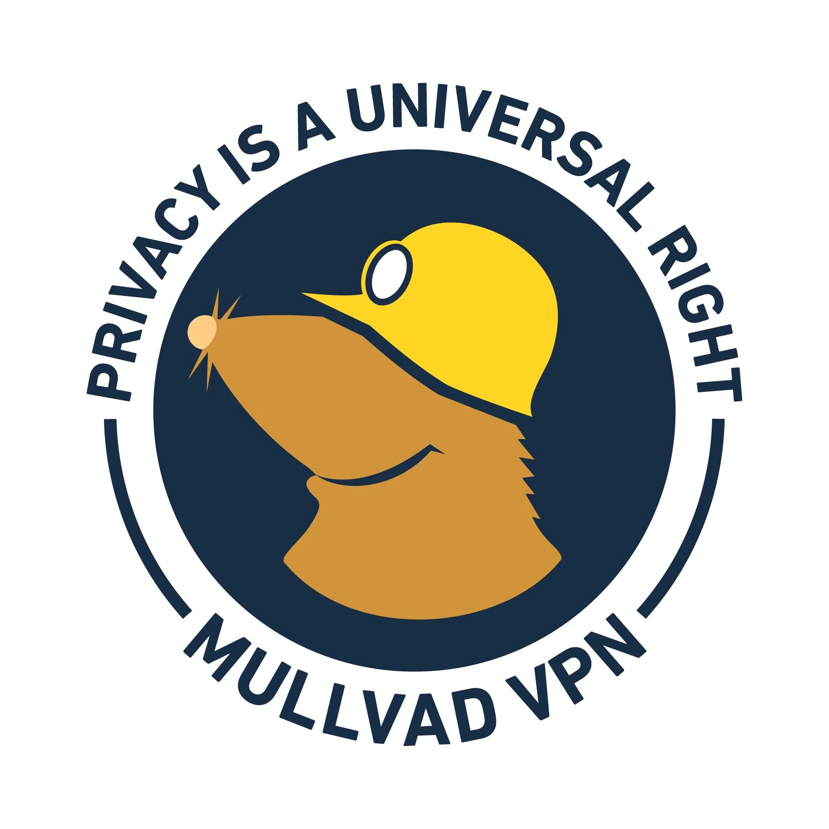 Mullvad 应用程序的安全审核已完成 – 请升级